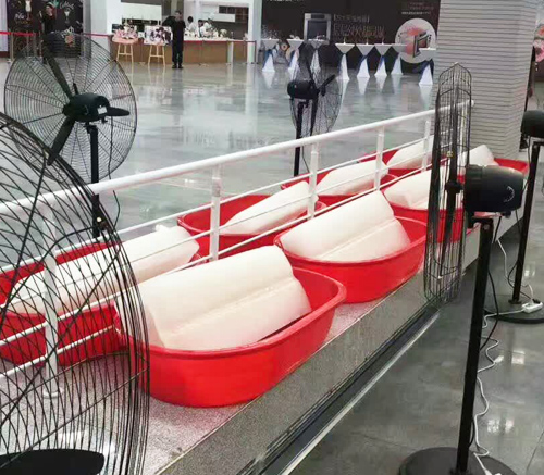 西安午夜福利一区二区冰塊